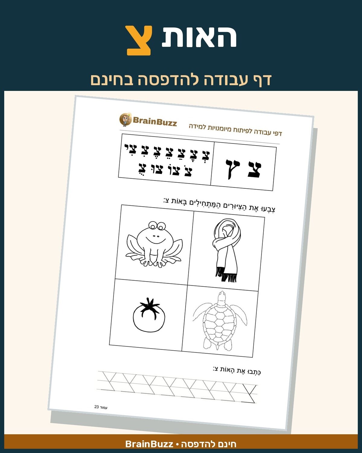 האות צ - דף עבודה בנושא לימוד אותיות - BrainBuzz