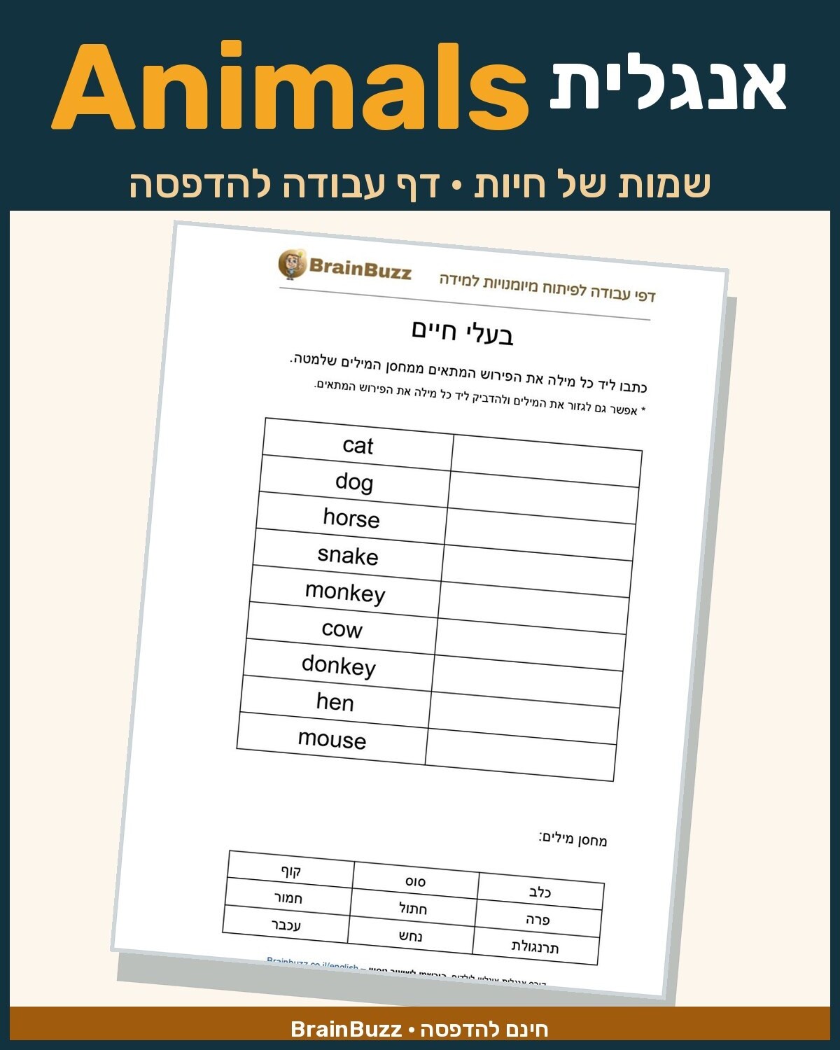 לימוד שמות של חיות באנגלית – דף עבודה באנגלית לילדים בחינם