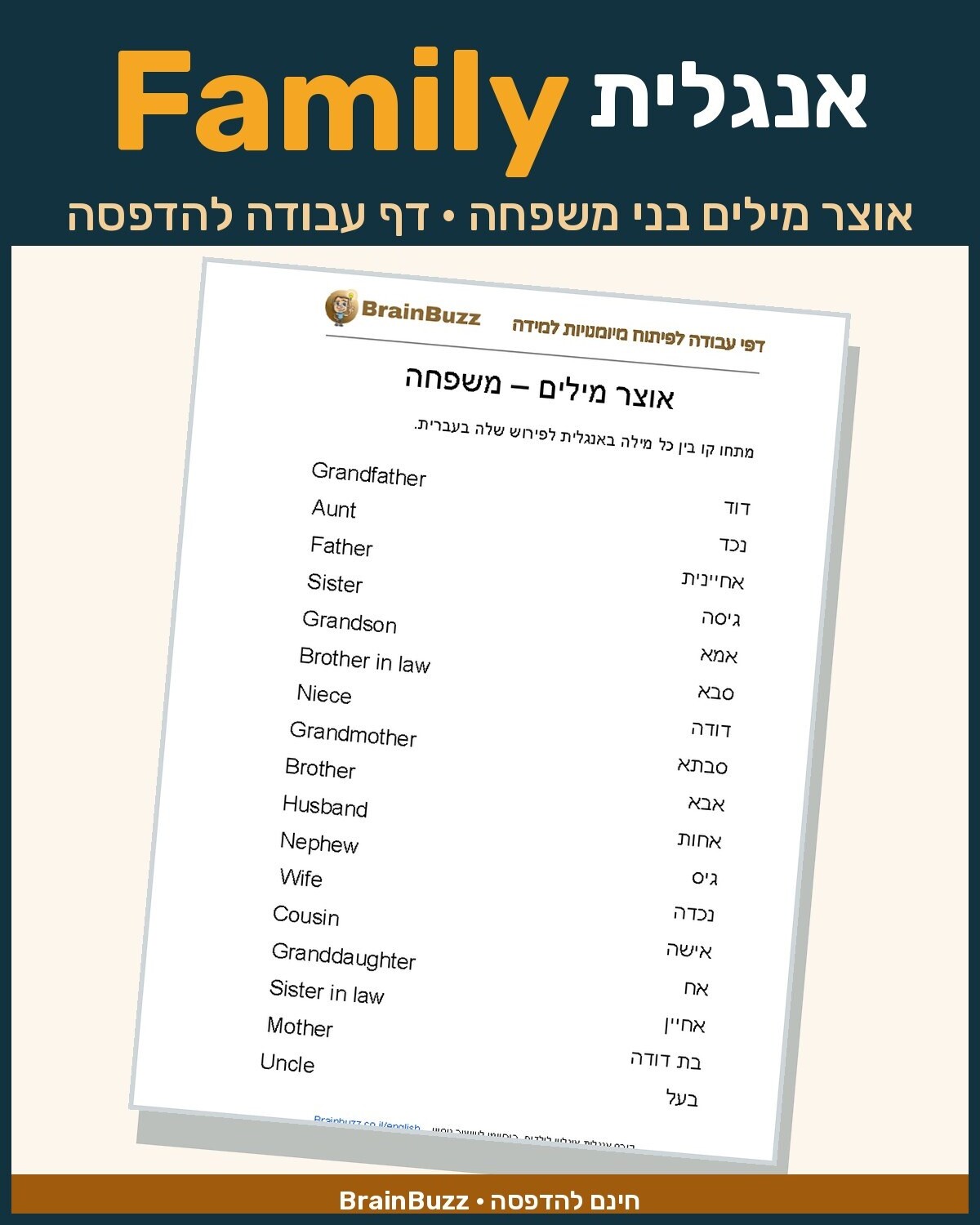 אוצר מילים באנגלית בני משפחה – דף עבודה באנגלית