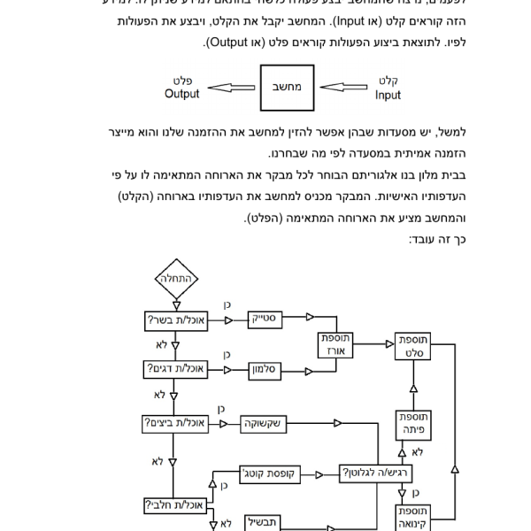 קלט ופלט – דפי עבודה בתכנות לילדים להדפסה בחינם - דף עבודה להדפסה