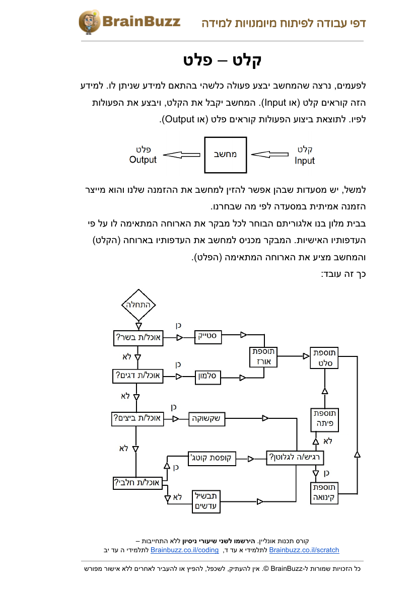 קלט ופלט – דפי עבודה בתכנות לילדים להדפסה בחינם - דף עבודה להדפסה